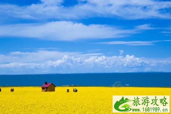 2020下半年适合旅游的地方国内 2020下半年适合旅游的地方国内