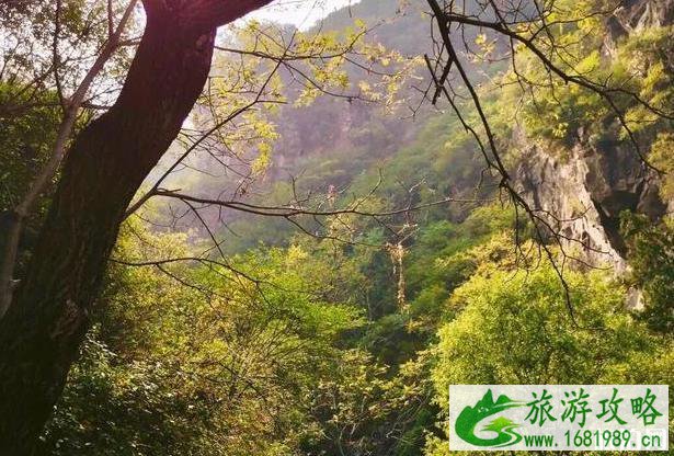 云岫谷风景区游玩攻略 云岫谷风景区游玩攻略