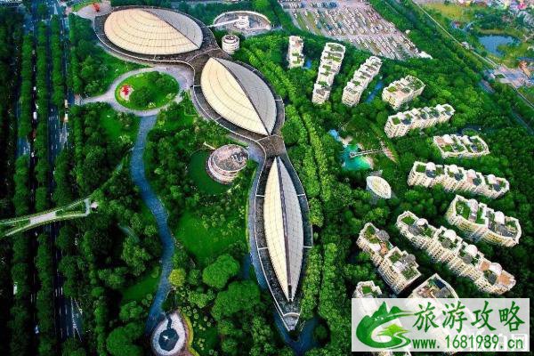 8月8日广州免费开放体育场馆时间及预约指南 8月8日广州免费开放体育场馆时间及预约指南