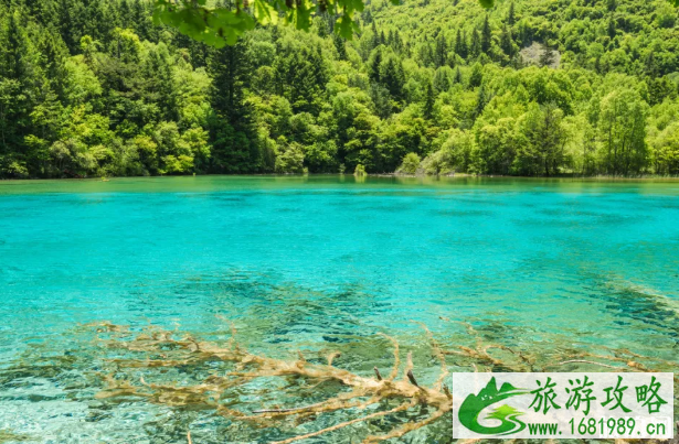 8月去哪里旅游合适-景点推荐 8月去哪里旅游合适-景点推荐