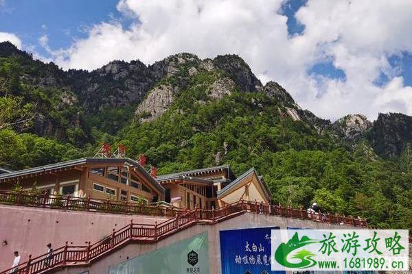 太白山旅游攻略两日游 太白山旅游攻略两日游