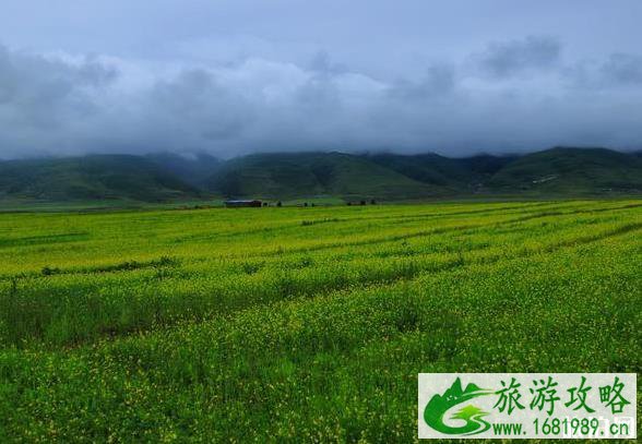 莲宝叶则风景区好玩吗