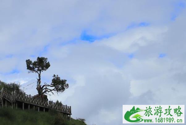 莲宝叶则风景区好玩吗