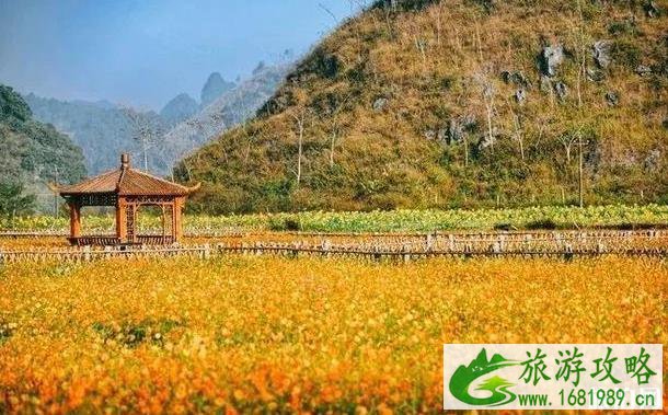 靖西有什么好玩的景点