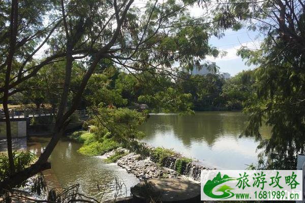 深圳东湖公园游玩攻略 深圳东湖公园游玩攻略