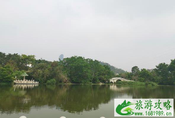 深圳东湖公园游玩攻略 深圳东湖公园游玩攻略