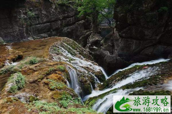 2020蟒河风景区门票价格 优惠政策和注意事项 2020蟒河风景区门票价格 优惠政策和注意事项