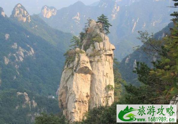 伏牛山有什么好玩的景区