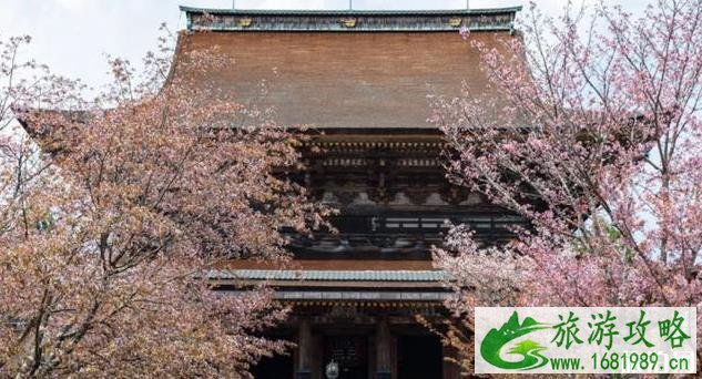日本第一赏樱地是哪里 日本第一赏樱地是哪里