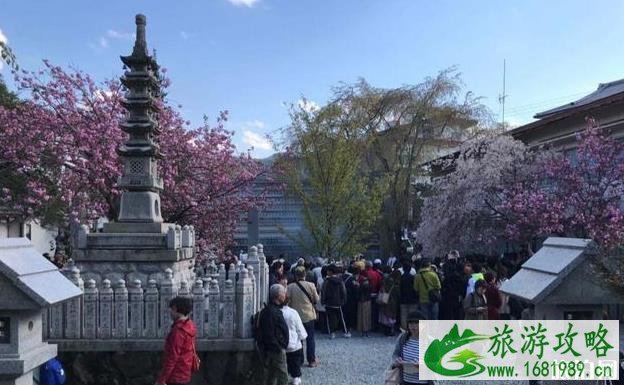 日本第一赏樱地是哪里 日本第一赏樱地是哪里