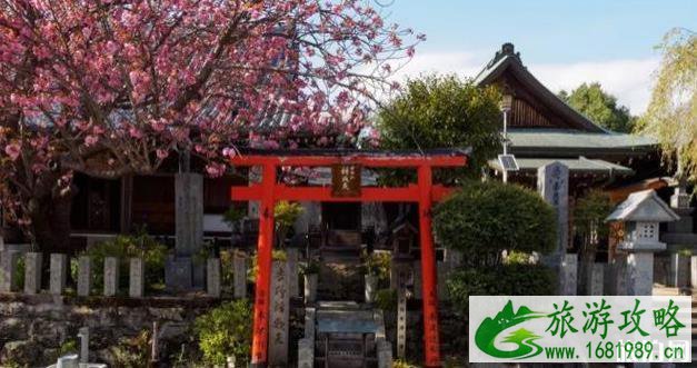 日本第一赏樱地是哪里 日本第一赏樱地是哪里