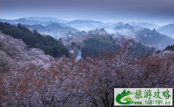 日本第一赏樱地是哪里 日本第一赏樱地是哪里