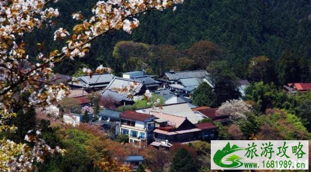 日本第一赏樱地是哪里 日本第一赏樱地是哪里