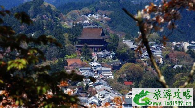 日本第一赏樱地是哪里 日本第一赏樱地是哪里