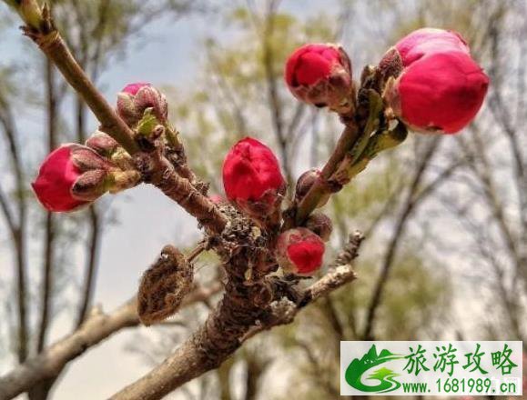 牛口峪湿地公园游玩攻略 牛口峪湿地公园游玩攻略
