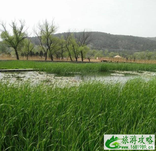 牛口峪湿地公园游玩攻略 牛口峪湿地公园游玩攻略
