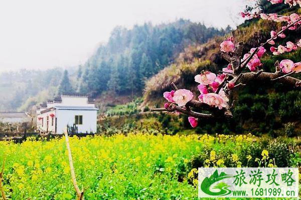 卖花渔村游玩攻略 歙县卖花渔村好玩吗 卖花渔村游玩攻略 歙县卖花渔村好玩吗