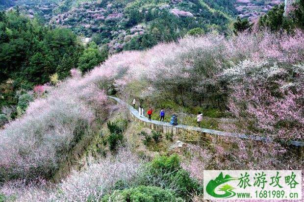 卖花渔村游玩攻略 歙县卖花渔村好玩吗 卖花渔村游玩攻略 歙县卖花渔村好玩吗