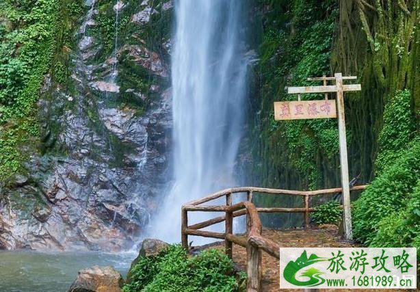 莫里原始森林公园攻略 莫里原始森林公园攻略