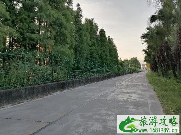 中山大涌镇西江景点怎么样 中山大涌镇西江景点怎么样