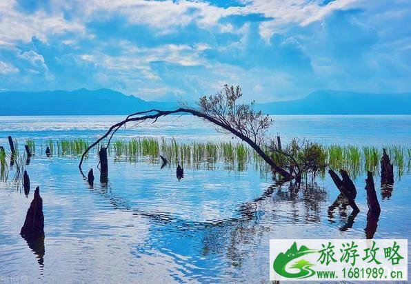 毕业适合去哪里旅游 毕业适合去哪里旅游