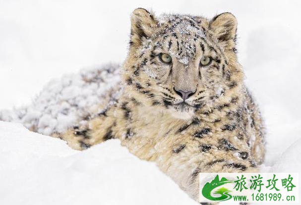 三江源国家公园介绍 三江源国家公园好玩吗 三江源国家公园介绍 三江源国家公园好玩吗