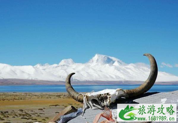 三江源国家公园介绍 三江源国家公园好玩吗 三江源国家公园介绍 三江源国家公园好玩吗