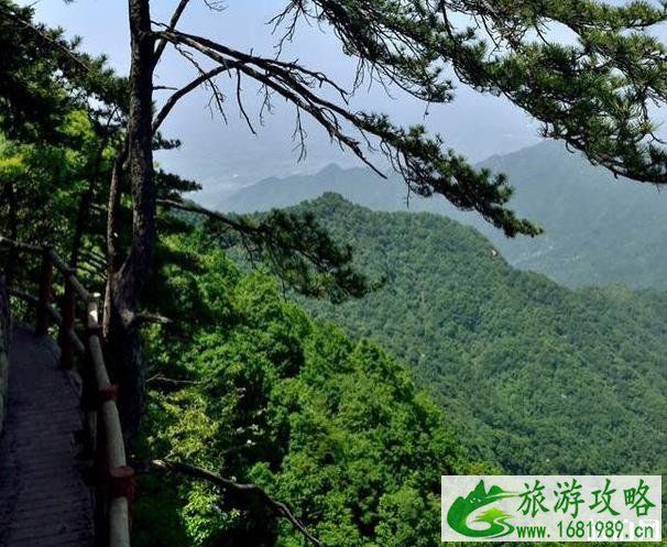 秦岭祥峪森林公园夏季旅游攻略 秦岭祥峪森林公园夏季旅游攻略