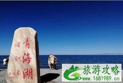 塔里木盆地的气候类型