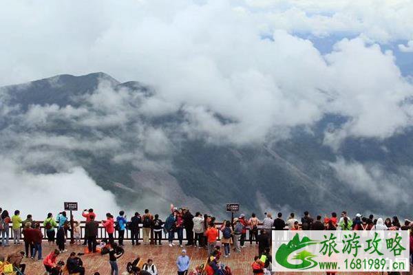 2020年端午节旅游数据怎么样 2020年端午节旅游数据怎么样