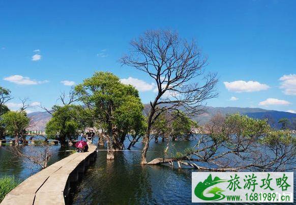 鹤庆旅游攻略2020 鹤庆旅游游记