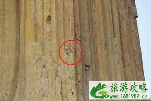 世界最难攀登的山峰是哪个 世界最难攀登的山峰是哪个