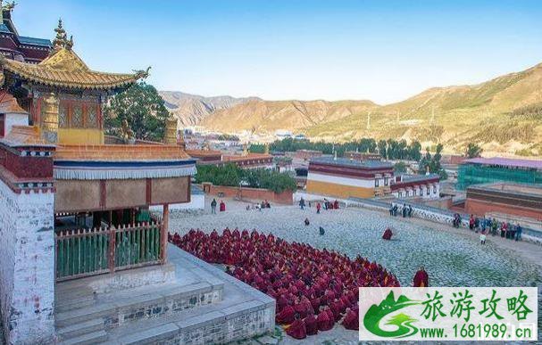 拉卜楞寺辩经现场是什么样的 拉卜楞寺辩经现场是什么样的