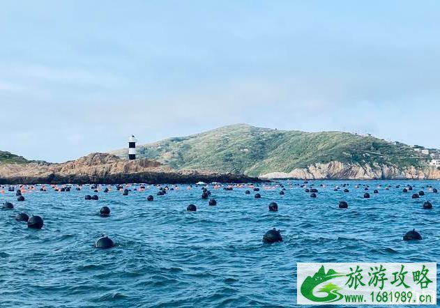 东极镇旅游攻略 东极镇游玩指南 东极镇旅游攻略 东极镇游玩指南