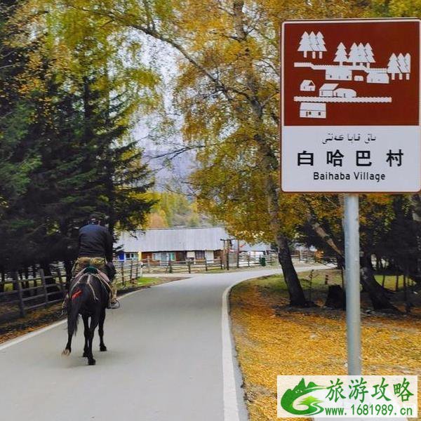 白哈巴旅游攻略2020 白哈巴旅游攻略2020