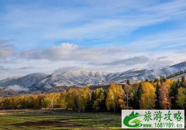 白哈巴旅游攻略2020 白哈巴旅游攻略2020