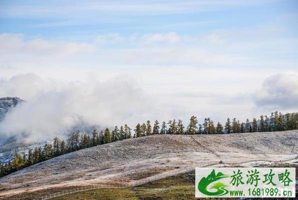 白哈巴旅游攻略2020 白哈巴旅游攻略2020