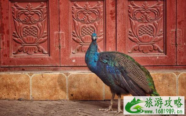 喀什老城景区旅游攻略 喀什老城景区旅游攻略