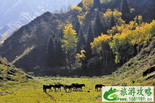 东天山在什么地方 东天山有什么好玩的 东天山在什么地方 东天山有什么好玩的