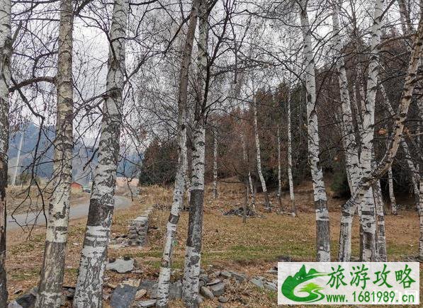 东天山在什么地方 东天山有什么好玩的 东天山在什么地方 东天山有什么好玩的