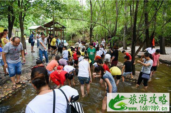2020保定虎山风景区门票价格 优惠政策 2020保定虎山风景区门票价格 优惠政策