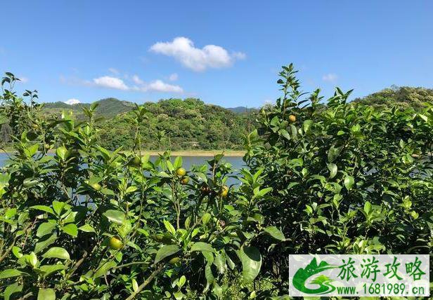 联安水库可以钓鱼吗 联安水库钓鱼收费吗 联安水库可以钓鱼吗 联安水库钓鱼收费吗
