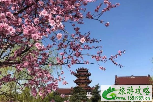 2020南海禅寺开放时间 2020南海禅寺开放时间
