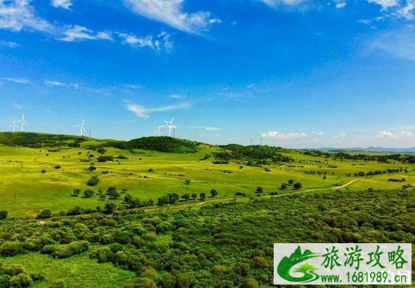 退休后去哪里旅行游玩比较好 退休后去哪里旅行游玩比较好