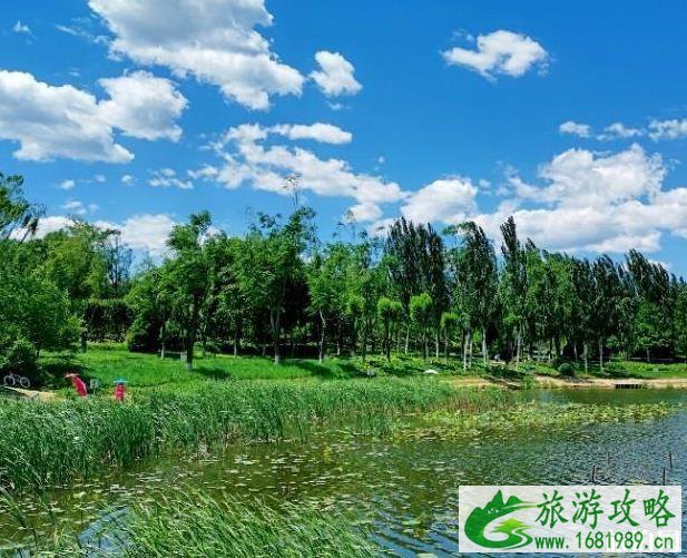 北坞公园现在人多吗 北坞公园现在人多吗