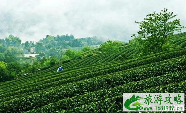 道元古村在哪 道元古村景区怎么样 道元古村在哪 道元古村景区怎么样