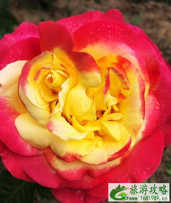 2020北京青龙湖湿地公园开放了吗 有什么好玩的 2020北京青龙湖湿地公园开放了吗 有什么好玩的