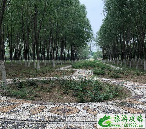 2020北京青龙湖湿地公园开放了吗 有什么好玩的 2020北京青龙湖湿地公园开放了吗 有什么好玩的