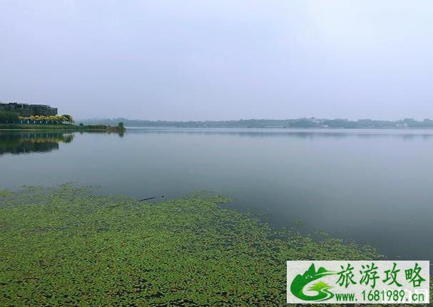 北京青龙湖湿地公园收费吗 青龙湖湿地公园门票多少钱 北京青龙湖湿地公园收费吗 青龙湖湿地公园门票多少钱