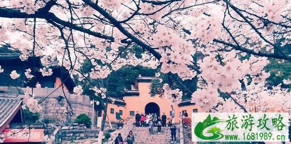 鸡鸣寺开放时间2020 鸡鸣寺开放了吗 鸡鸣寺开放时间2020 鸡鸣寺开放了吗